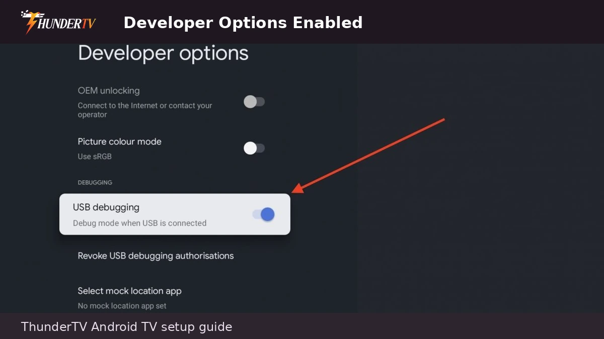 Android TV Developer Options screen for ThunderTV IPTV setup